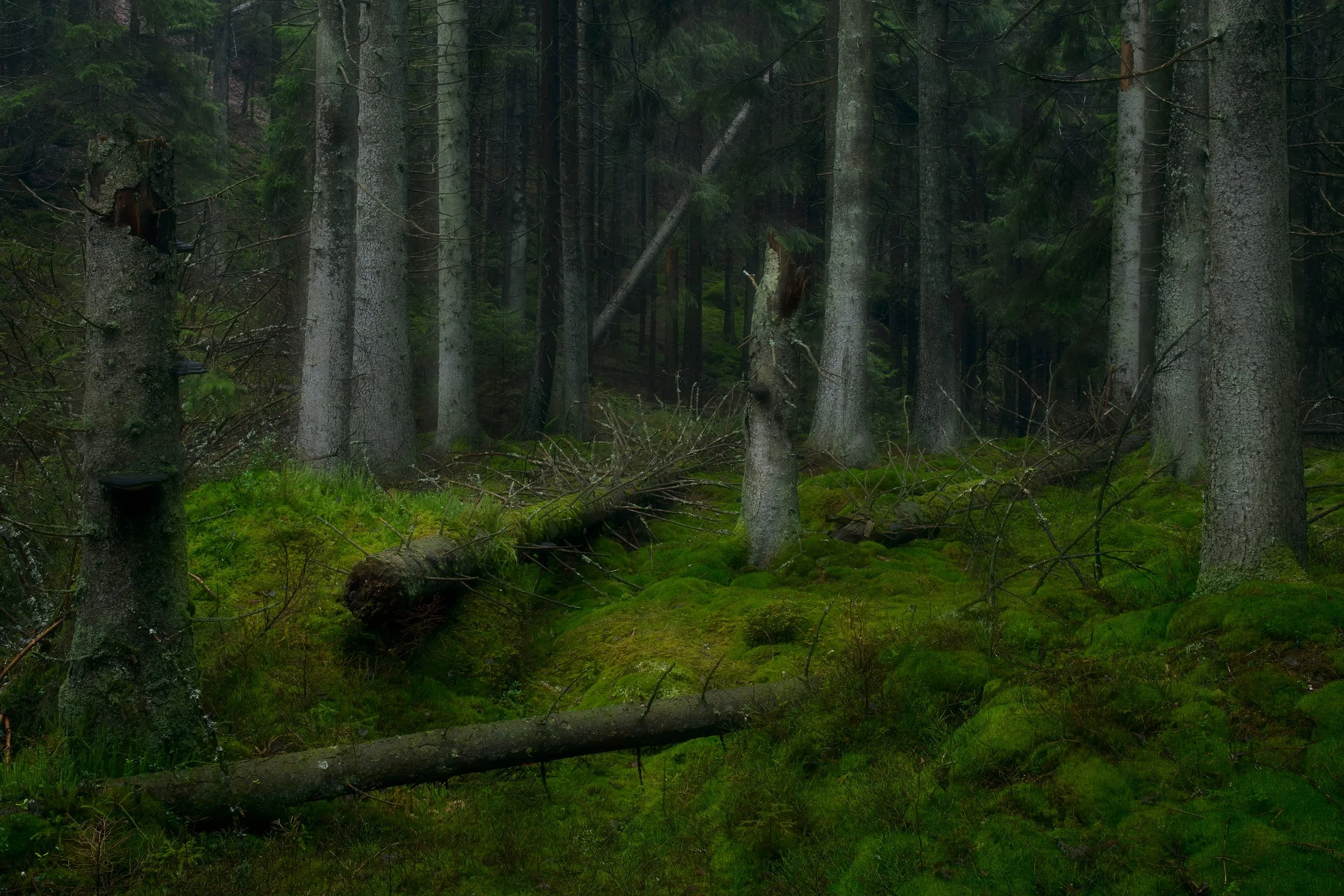 Fotograf: Jukka Lausmaa