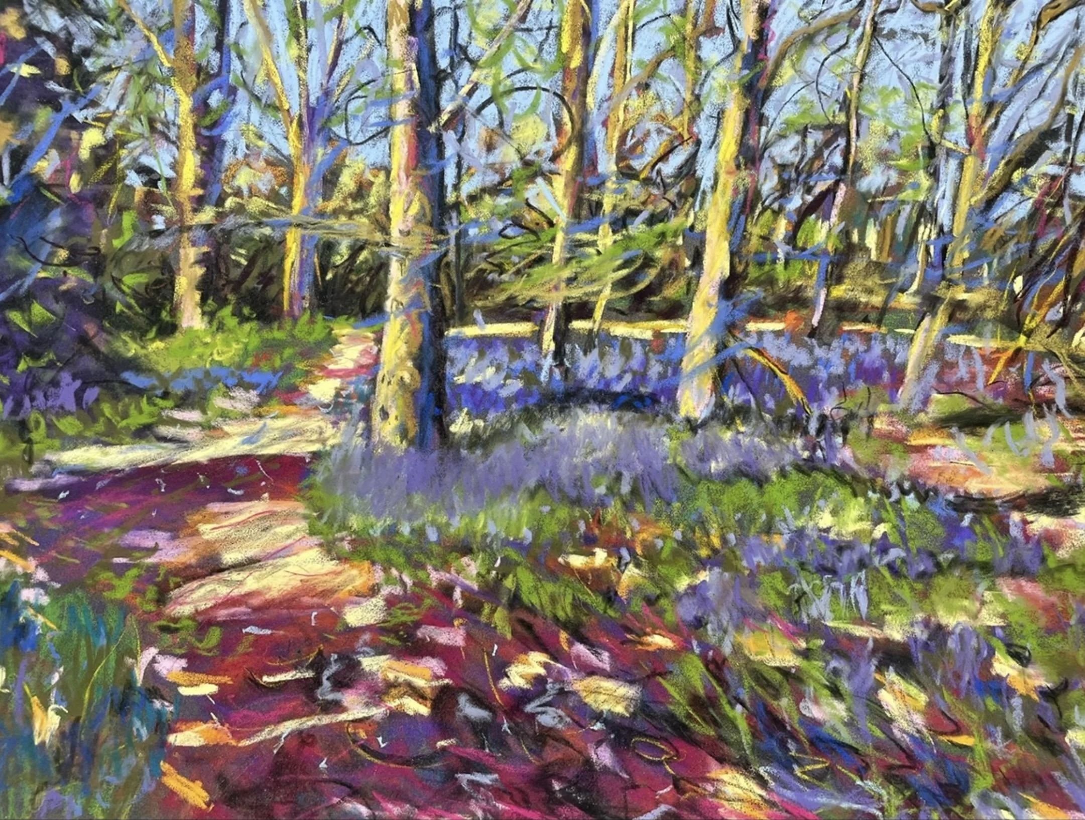 Trent Park Bluebells