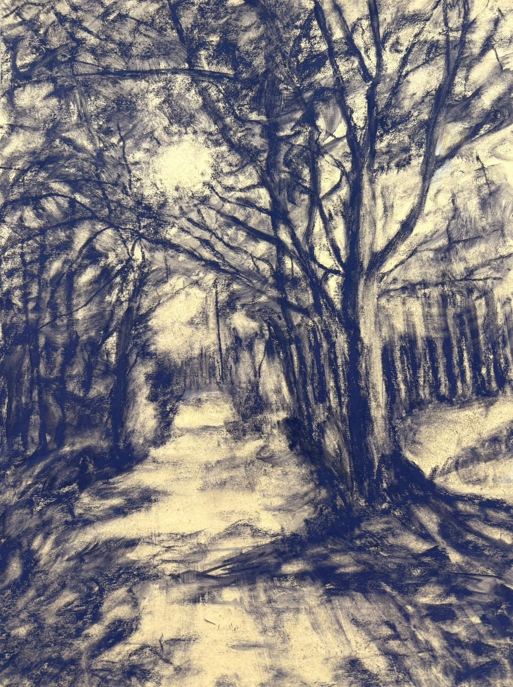 Where The Light Falls