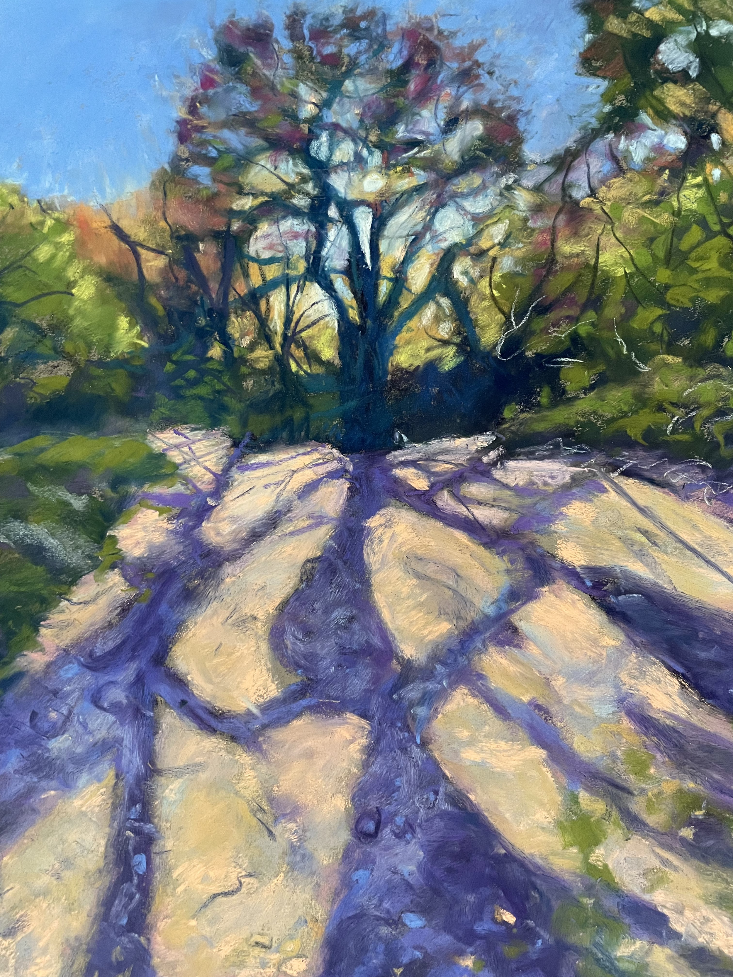 Dancing Shadows On The Heath