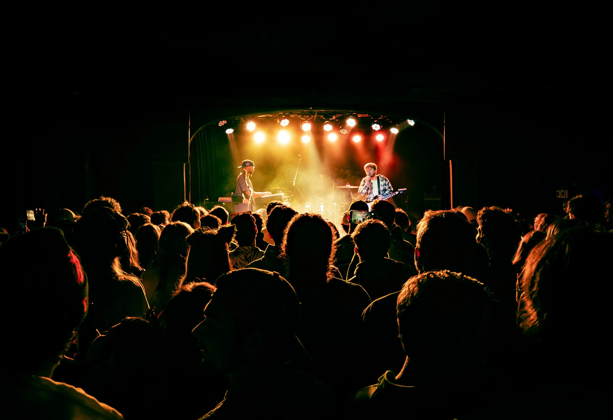 Your Neighbors “Live in Real Life” Tour