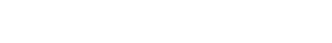 ASHA AMA Couture Fashion