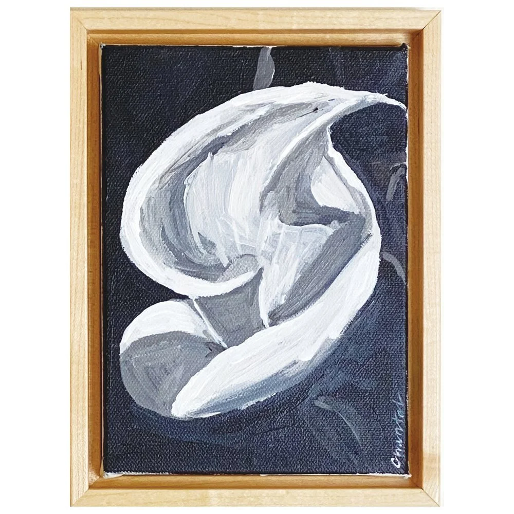 Calla+in+Afternoon+Light.jpg