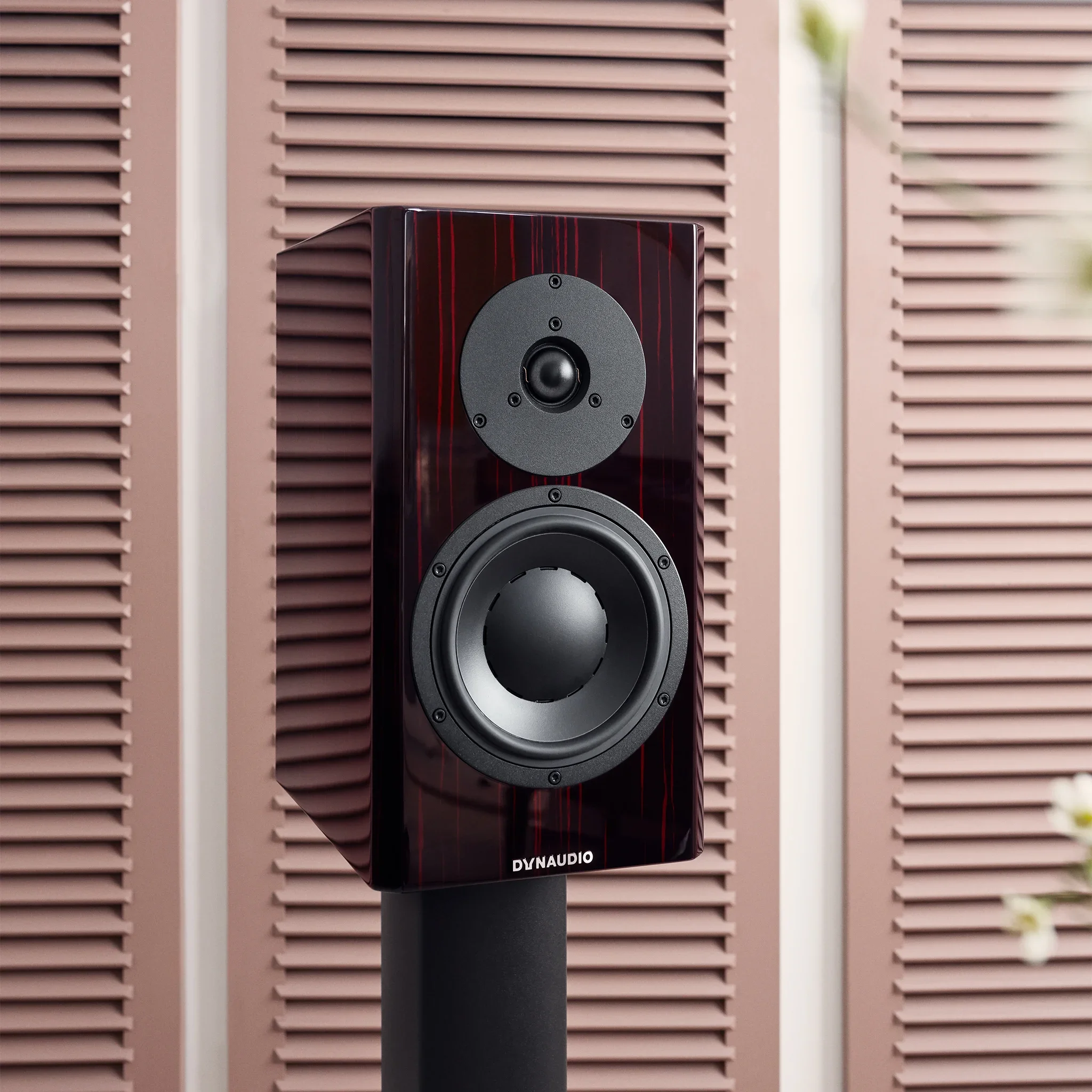 Dynaudio Special Forty