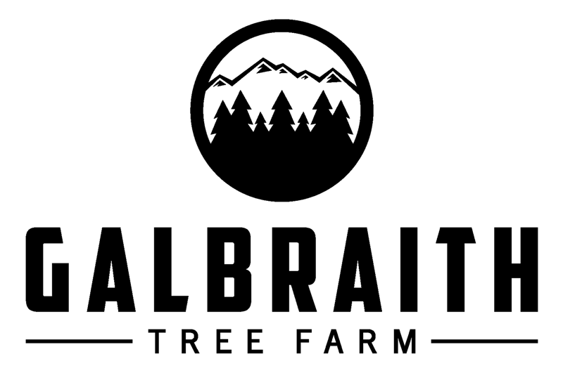 Galbraith Tree Farm