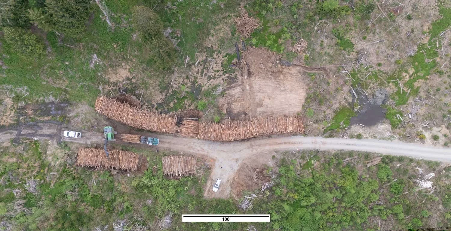 Galbraith Wood Vault Site - Staged