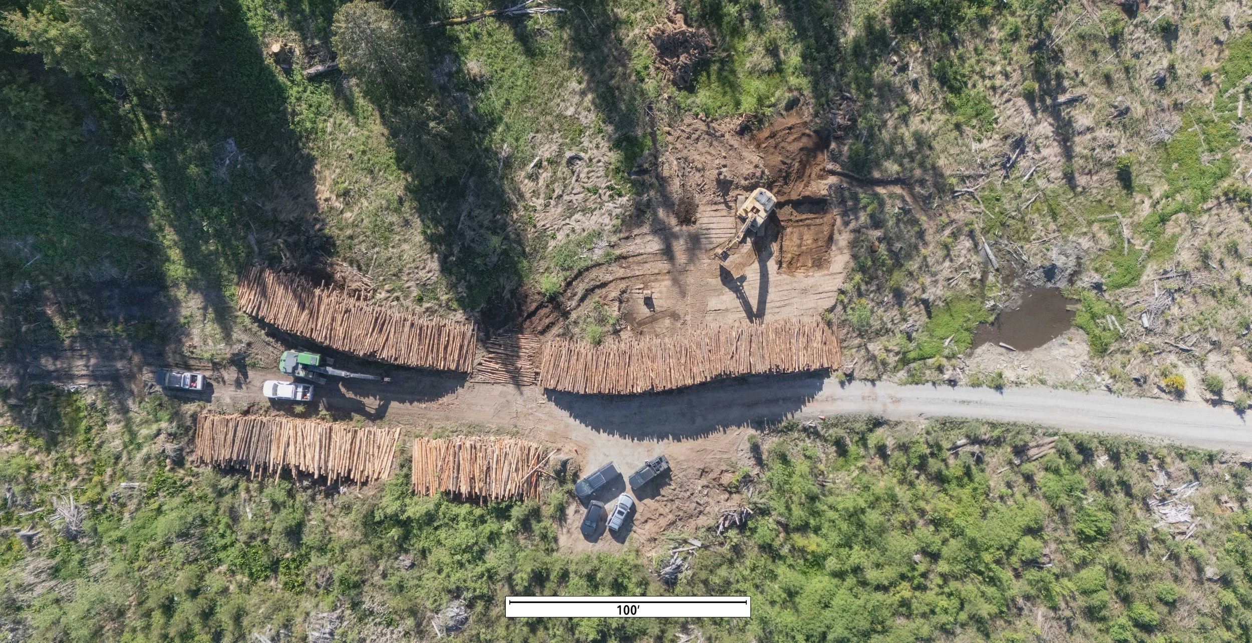 Galbraith Wood Vault Site - Start of Excavation