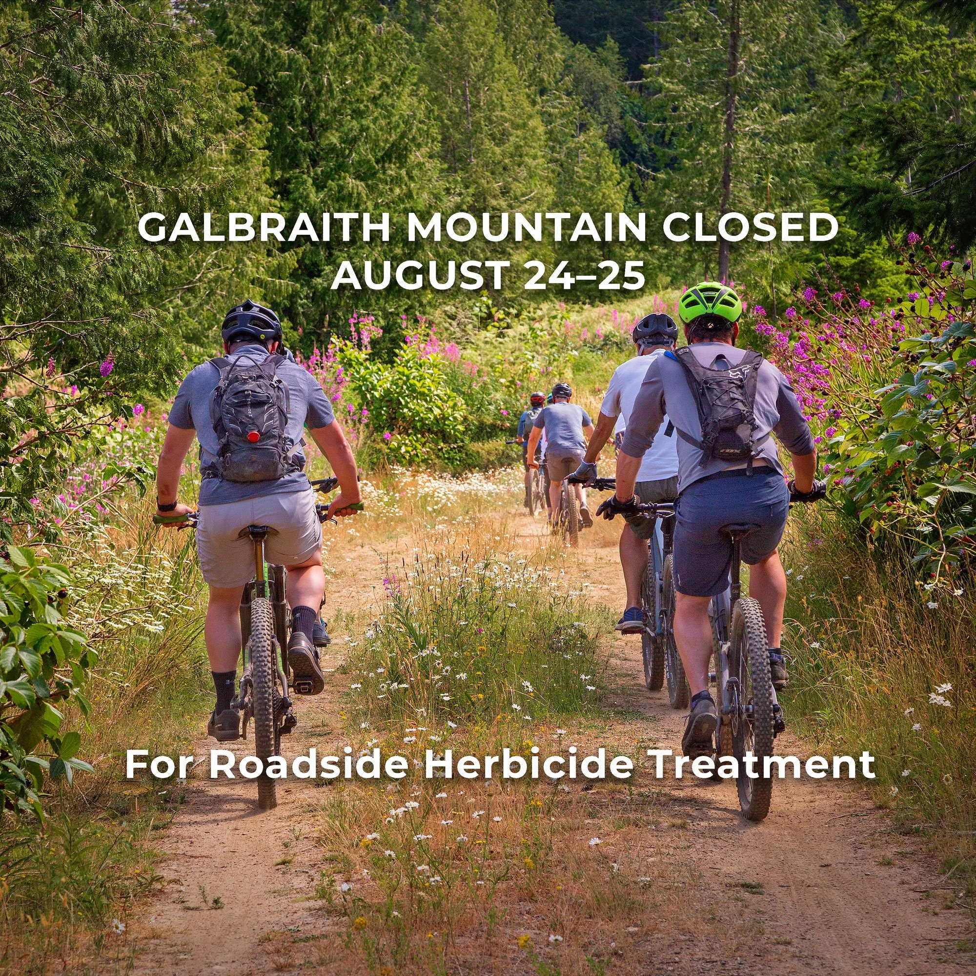 Galbraith Mountain to Close Aug. 24–25 for Targeted Roadside Herbicide Treatment