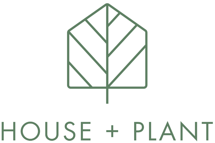 House + Plant