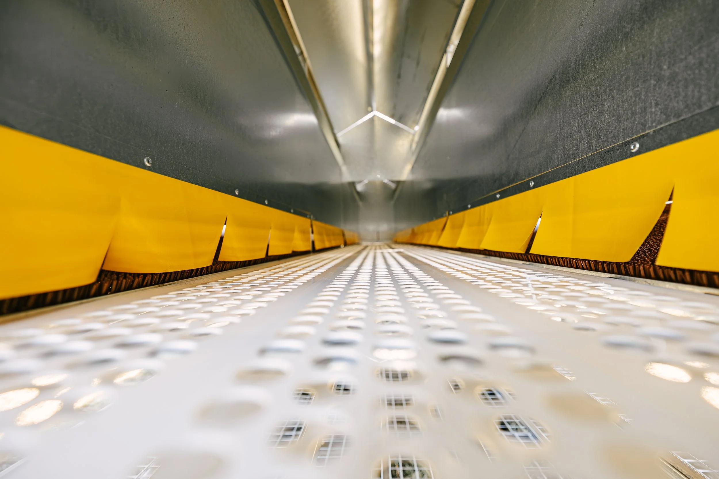 central roll-away egg collection system