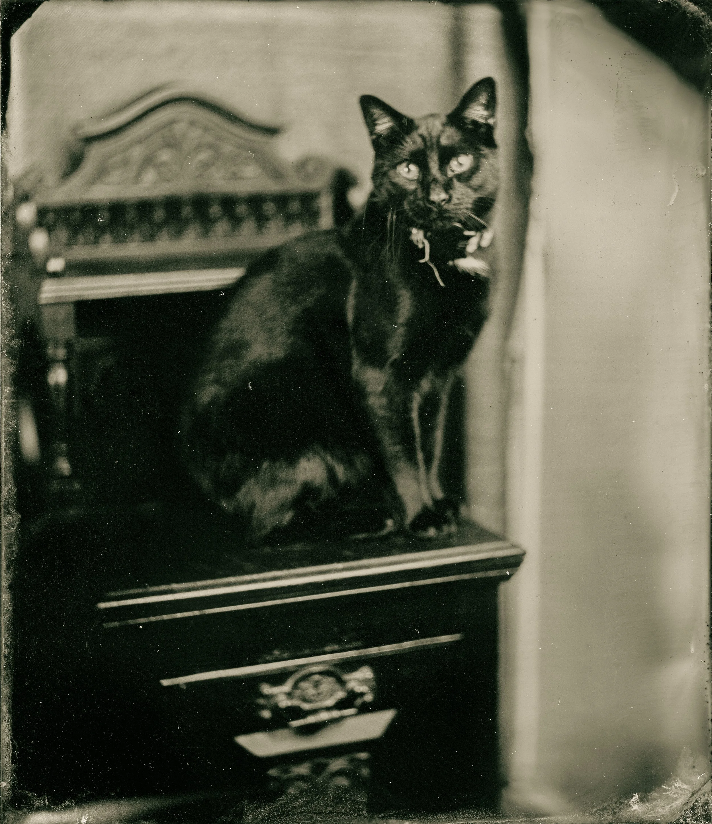 TinttailboardrossCDeVpetzvalsixthplatetintype856.jpg