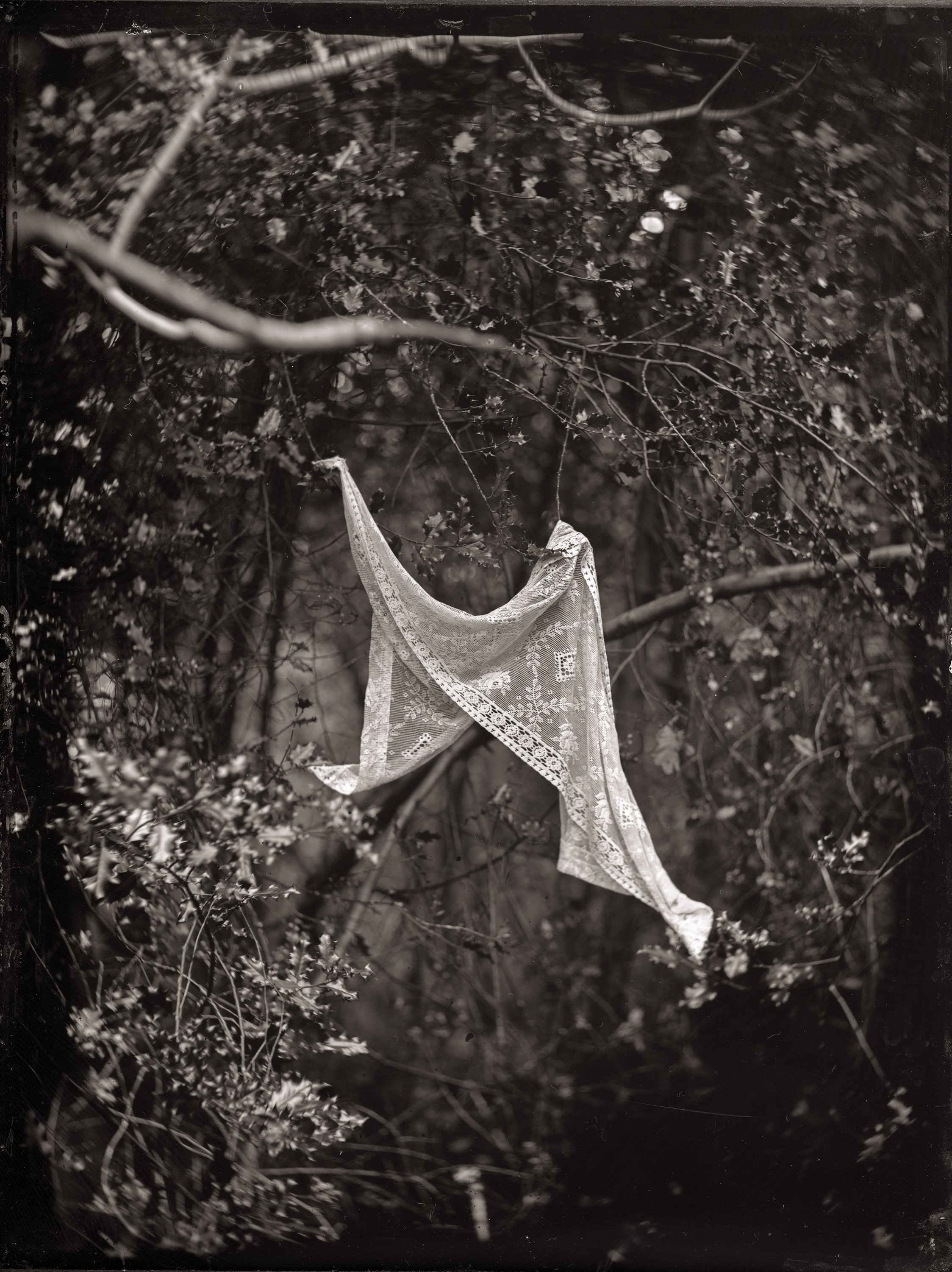 tinytailboardRossCDeVTintype071.jpg