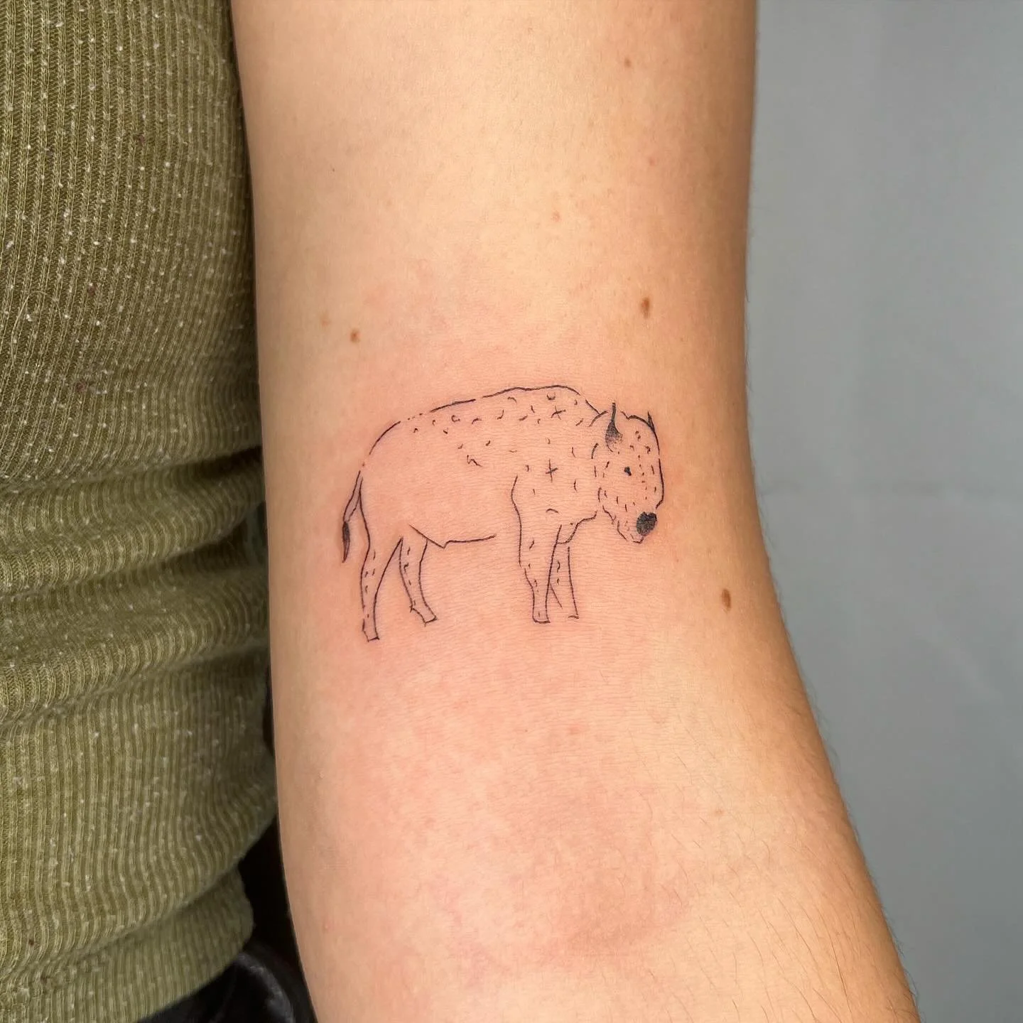 Buffalo for Bella! Love when my clients have super cool names 🫣