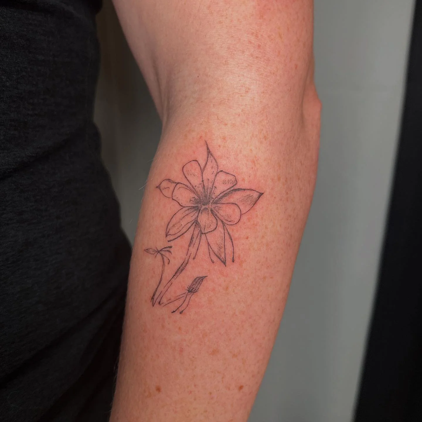 Can you believe&hellip; ANOTHER columbine 🫣 Can&rsquo;t stop won&rsquo;t stop 🌸