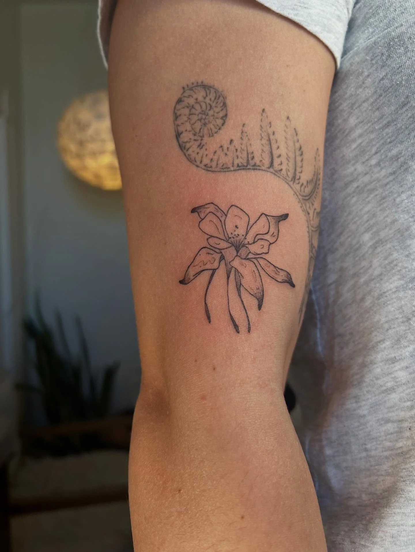 bc I still love columbines don&rsquo;t worry 🌟🧚
-
-
-
-
#nyctattoo #tattoos #queer #bkj #fineline