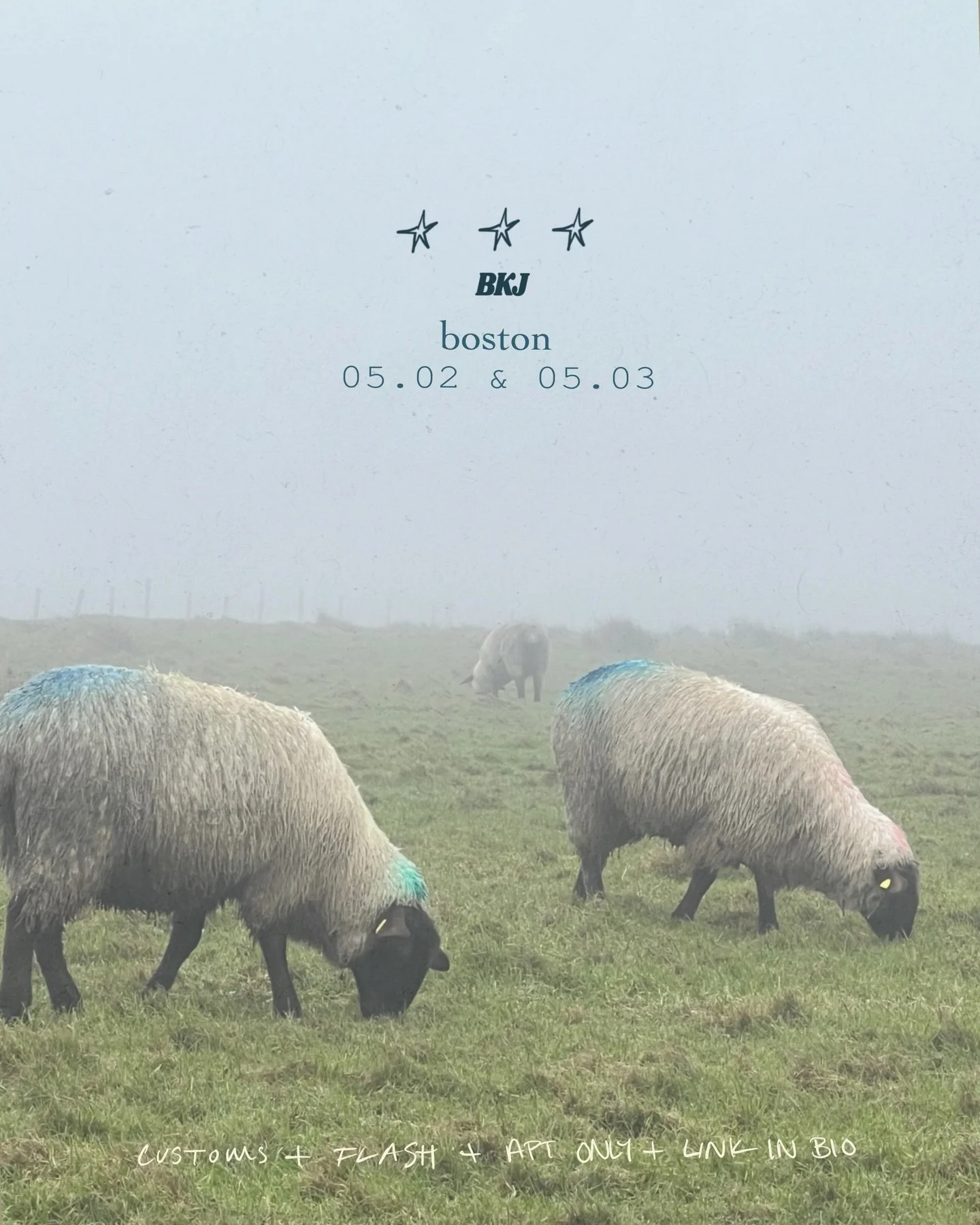 BOOOSTON!! I&rsquo;m coming BACK 05.02-05.03 🌟

🤸 Customs and flash! More flash in my highlights :)
🤸 L!nk in bio to book (please make sure you select guest spot as your location!)