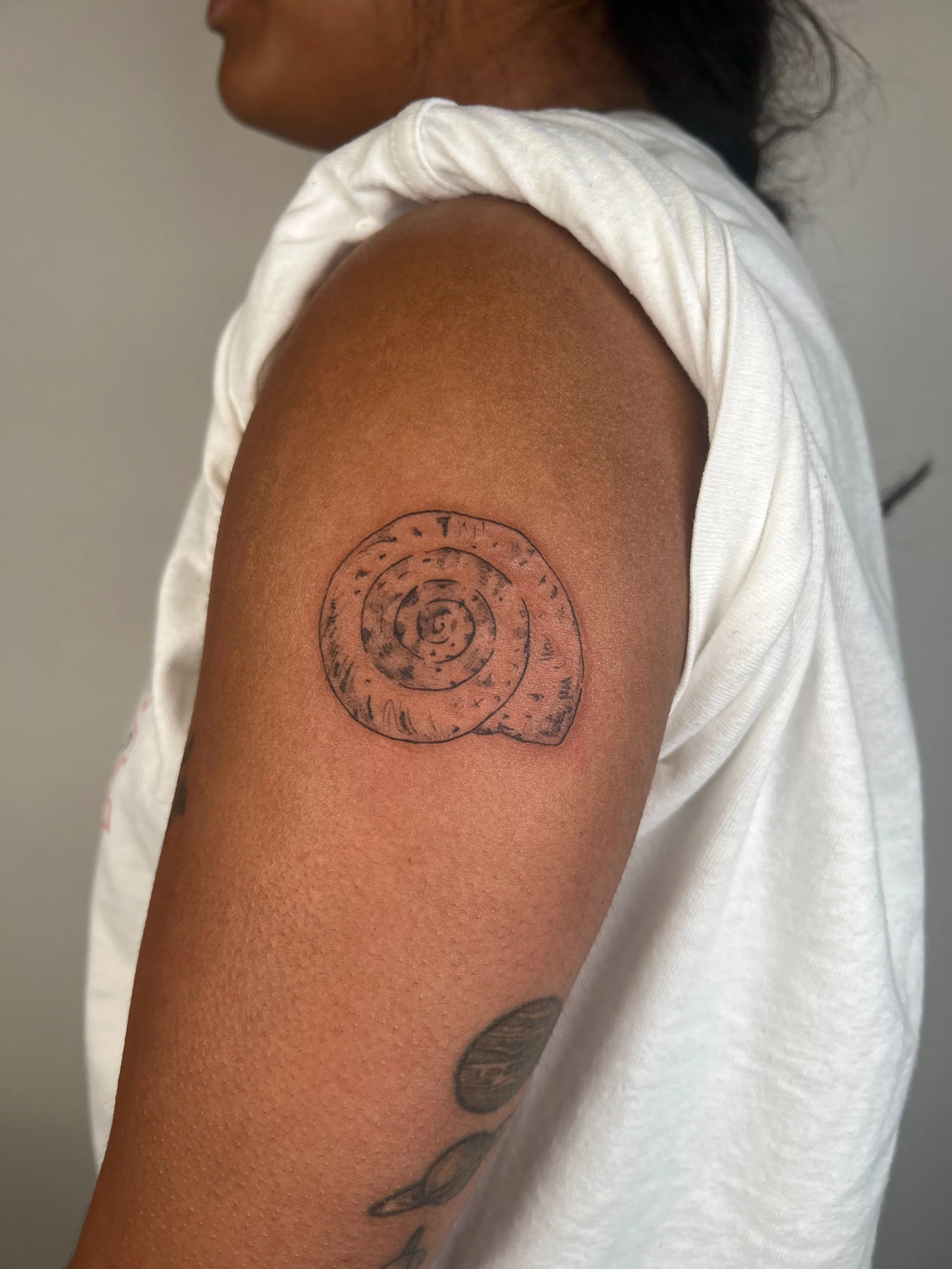 she&rsquo;ll have shell time 💰
-
-
-
-
#nyctattoo #tattoos #queer #bkj #fineline