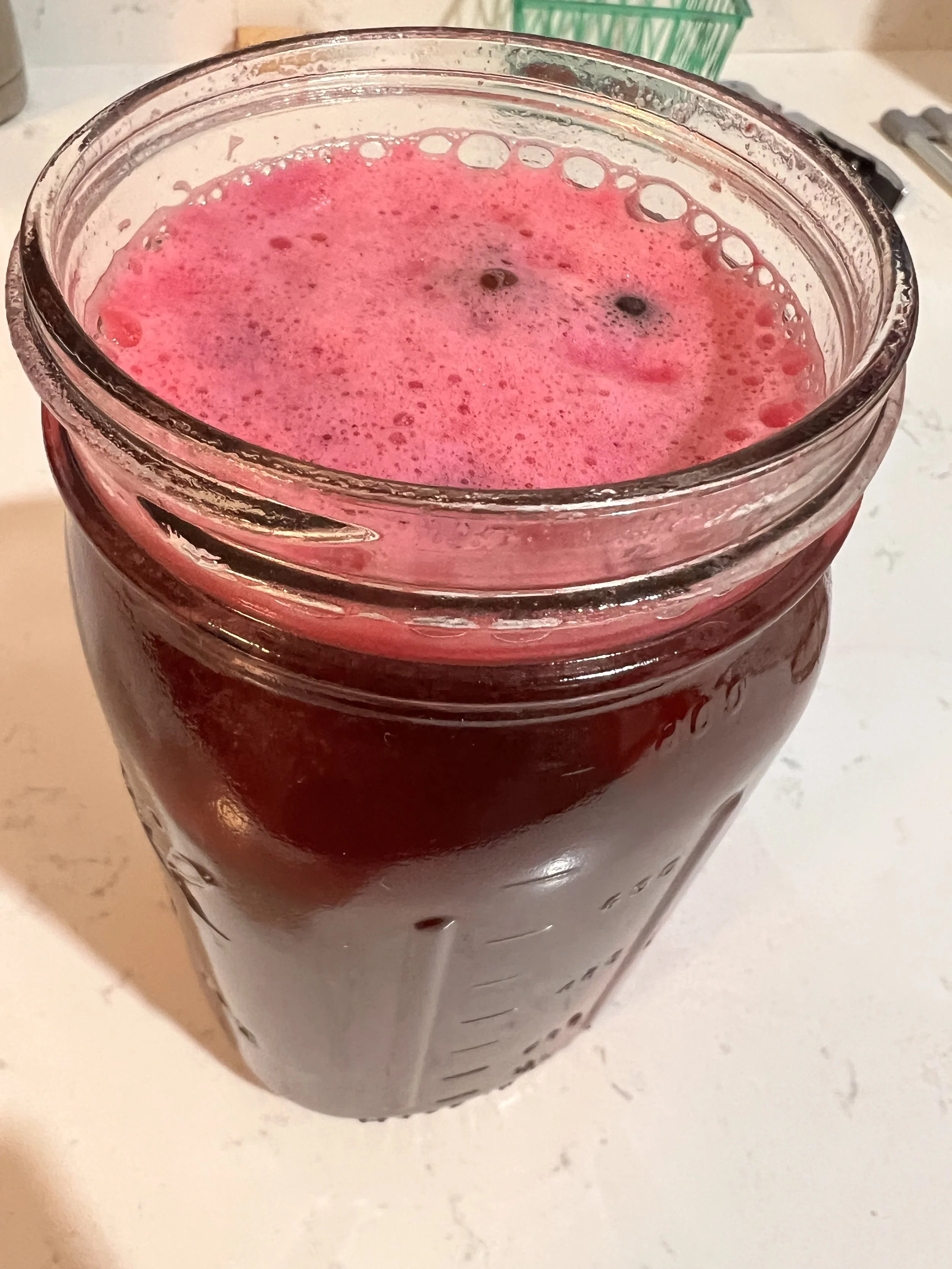 Sparkling Fruit Kvass