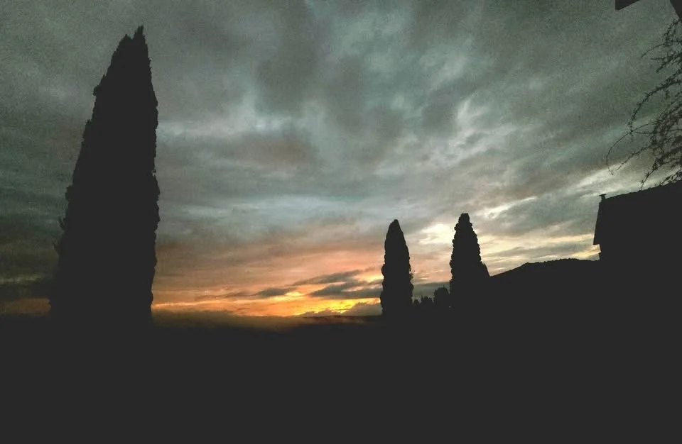 Silhouetted trees and a house against a cloudy sunset sky.