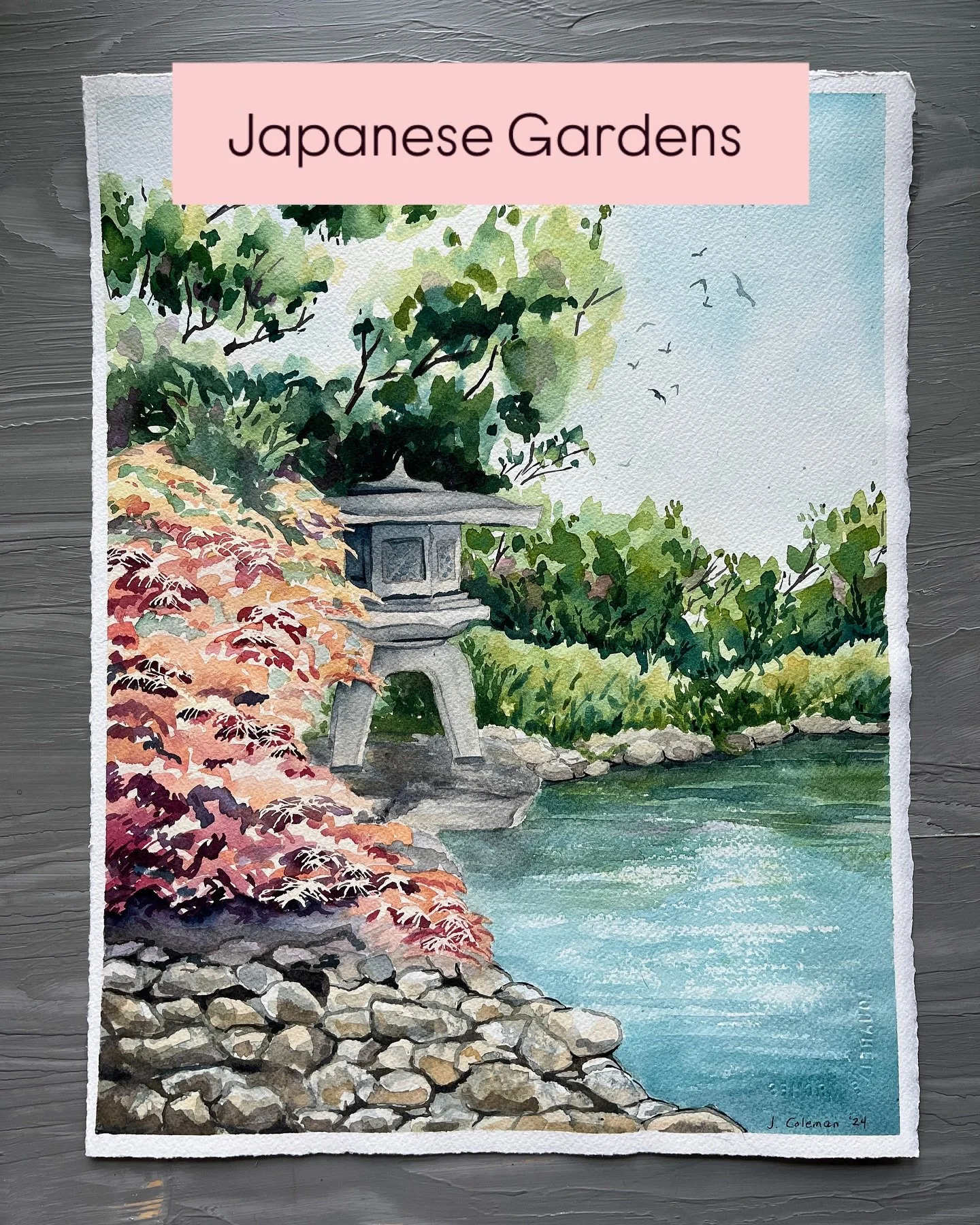 If you live in or visit Hampton Roads, you should definitely plan a visit or two or three to the Norfolk Botanical Gardens. This place is so gorgeous and peaceful no matter what time of the year it is. The Japanese Garden is one of the very beautiful