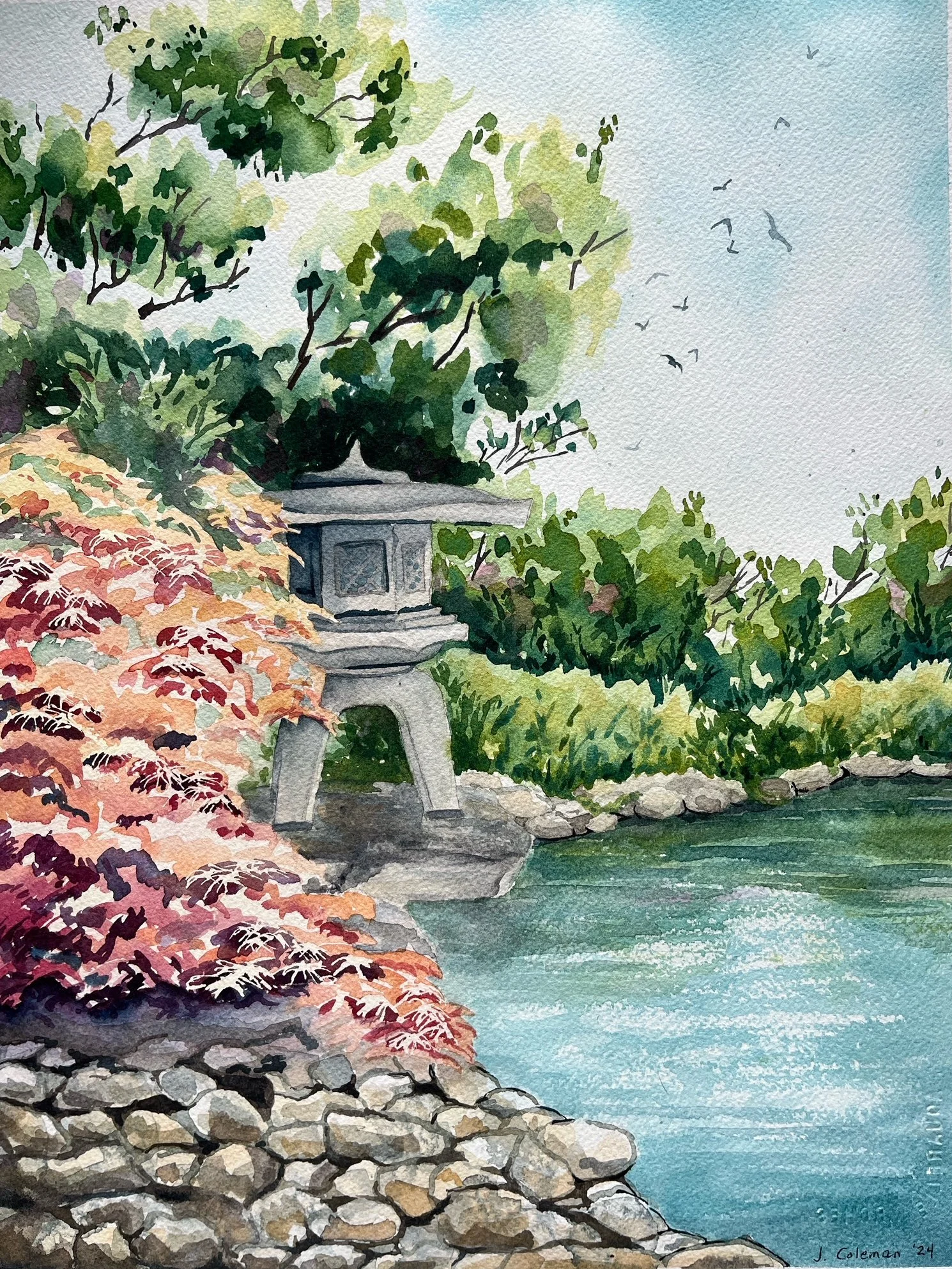 Japanese Gardens.jpg