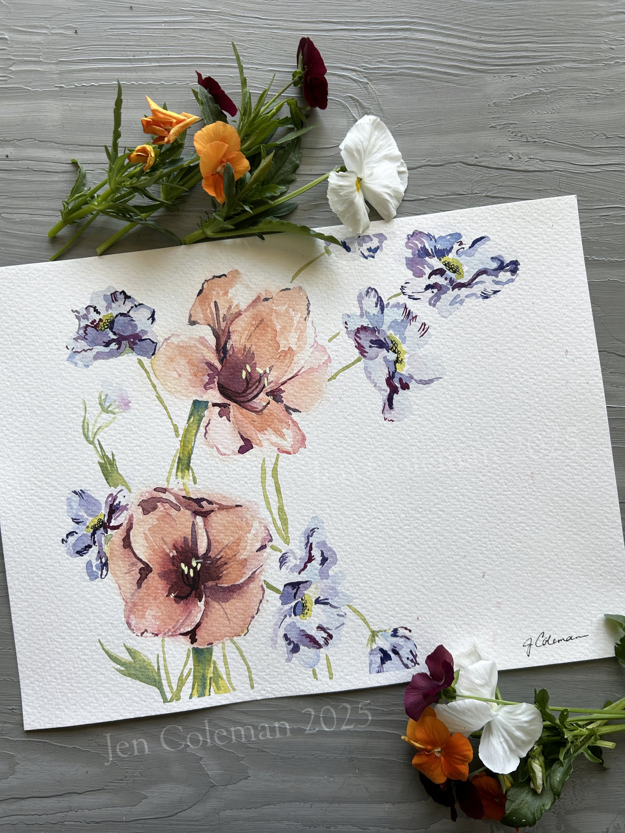 Amaryllis and Scabiosa1.jpg
