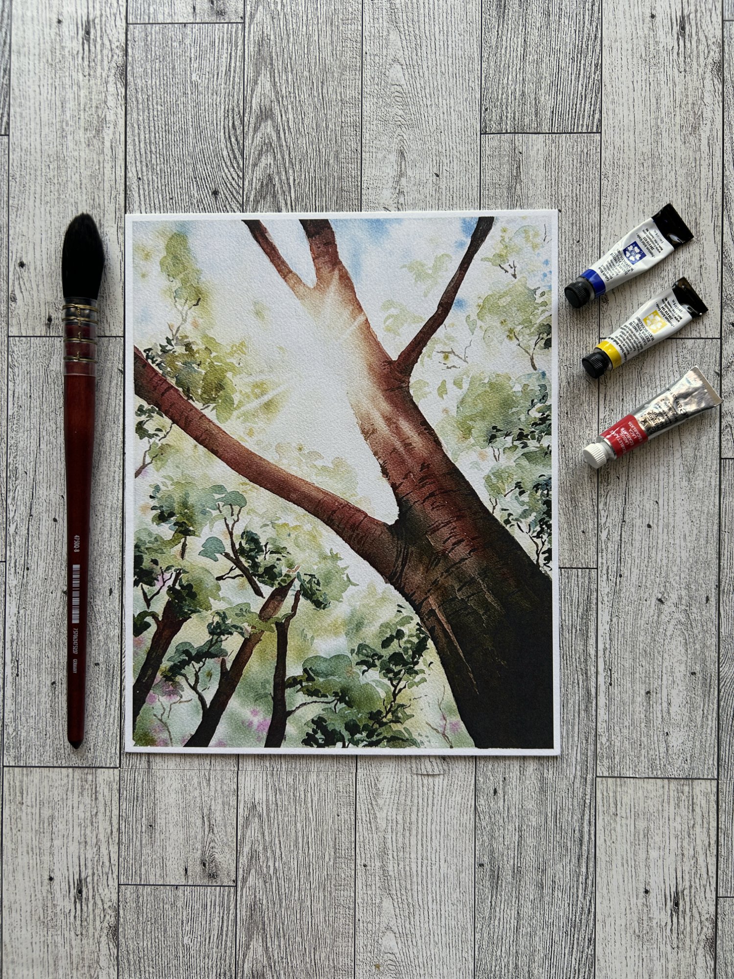 Psithurism Sun Beams Through Leaves 8x10 Print