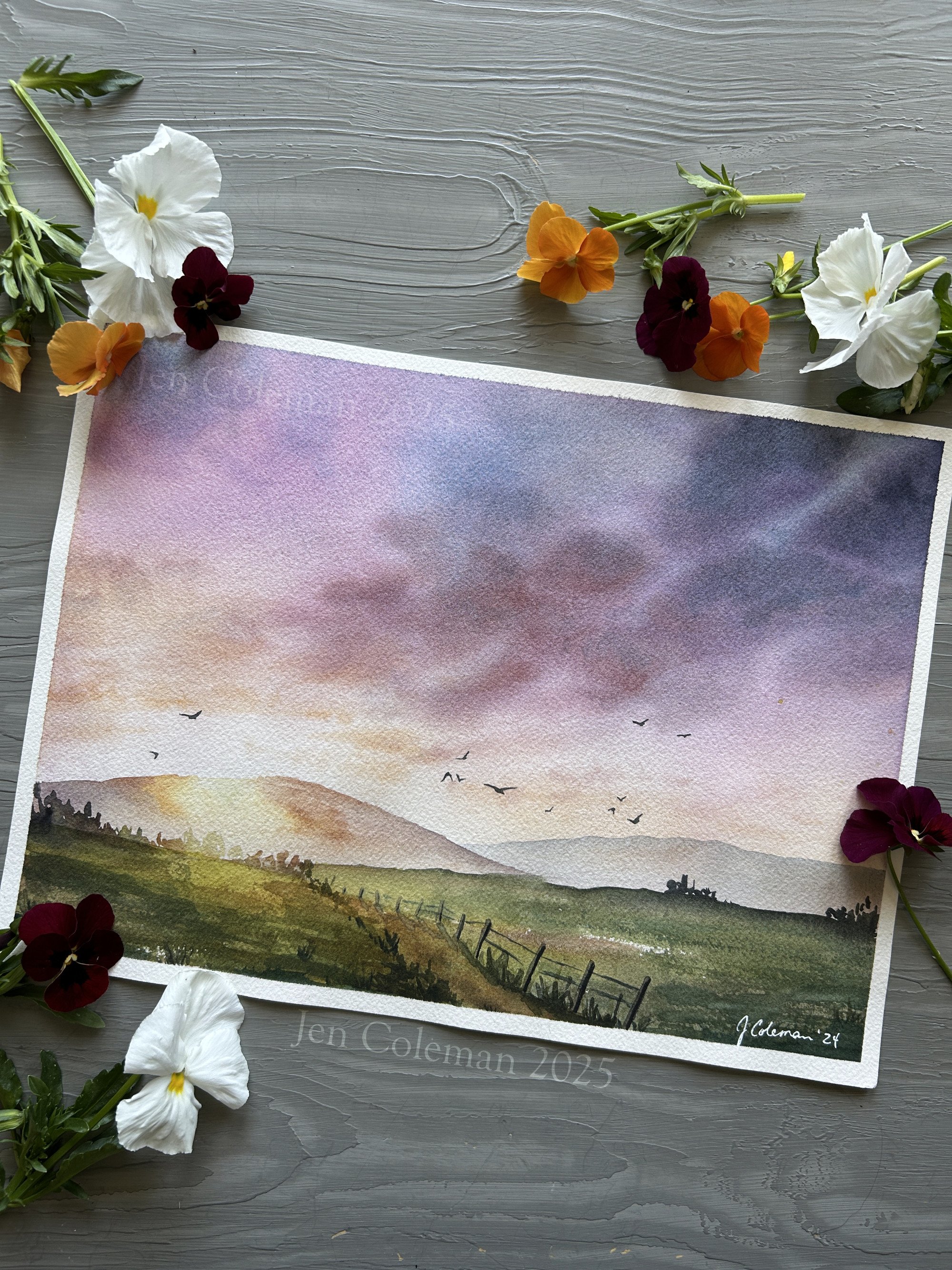 Countryside Sunrise1.jpg