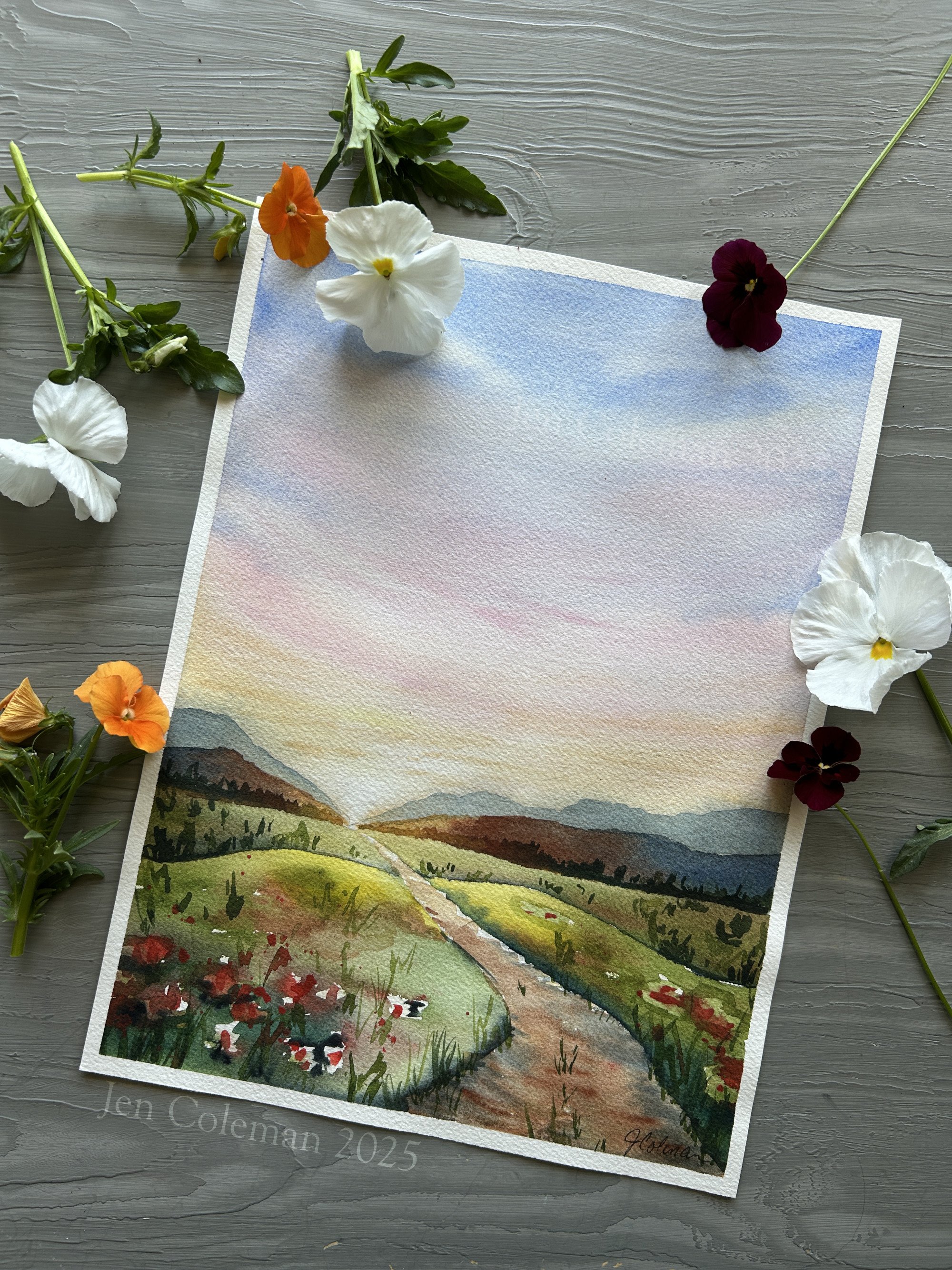 Morning Meadow1.jpg