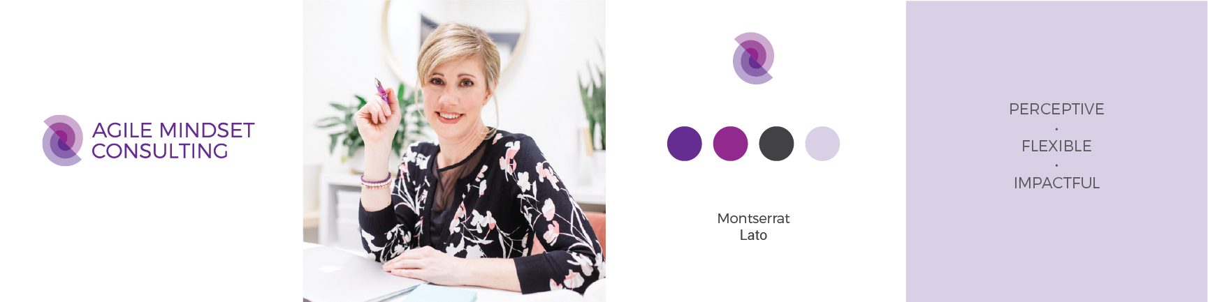Agile Mindset Consulting.png