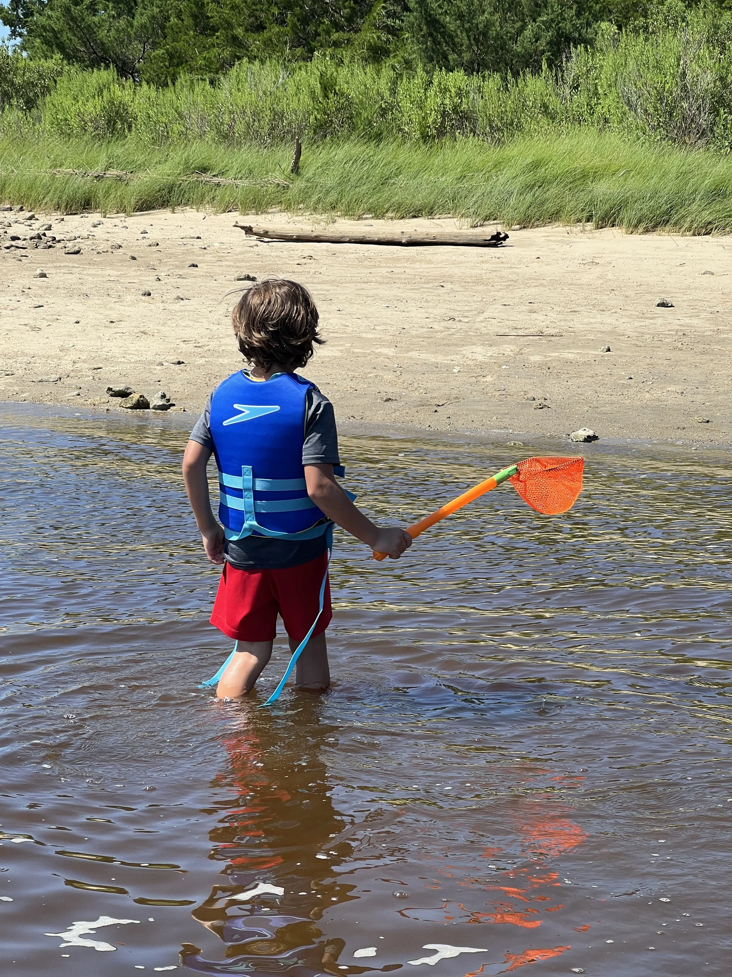 Explore Shark Tooth Island : The Best Time to Visit Shark Tooth Island in the Cape Fear River, North Carolina