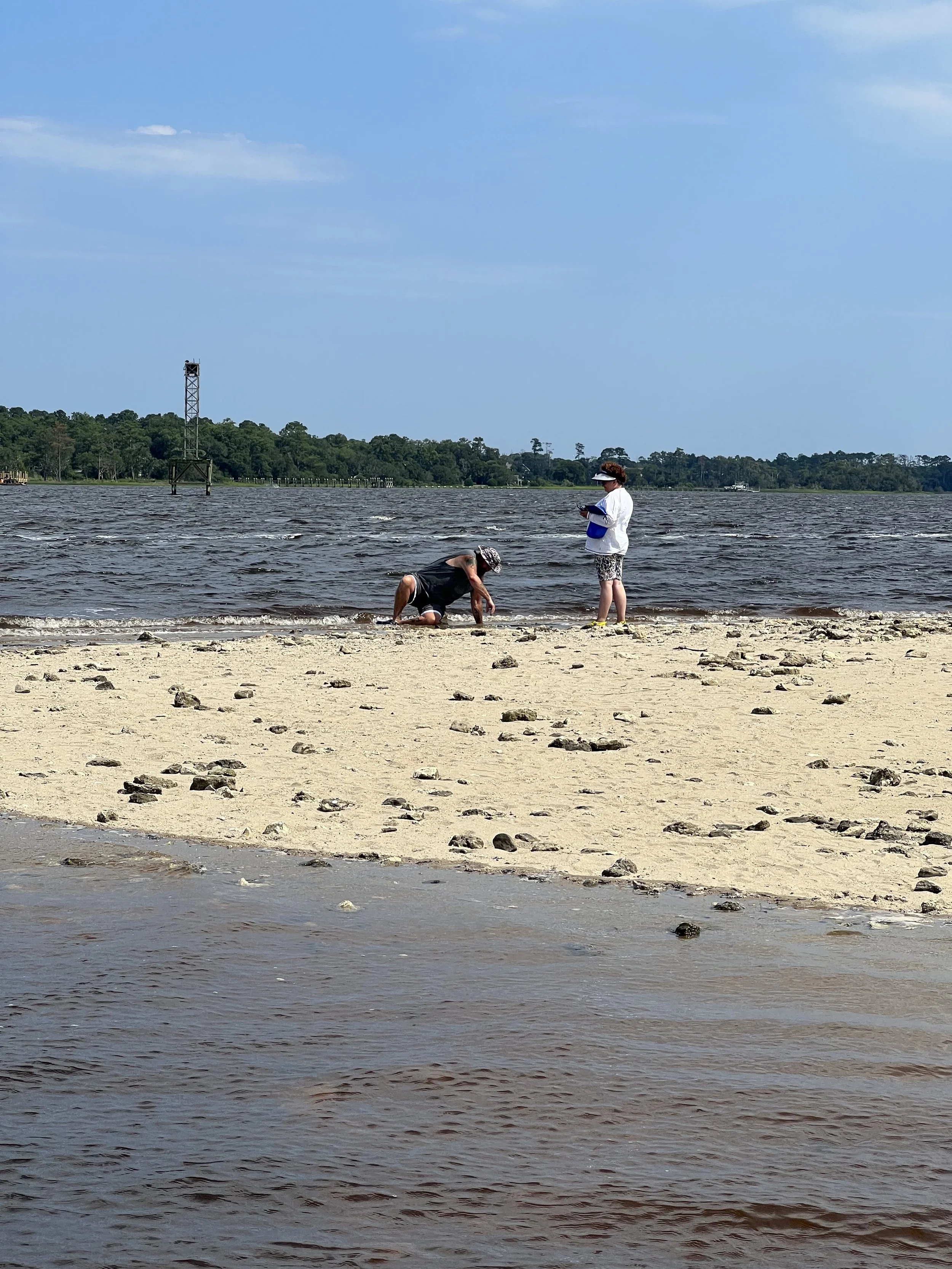 couple looking for shark teeth