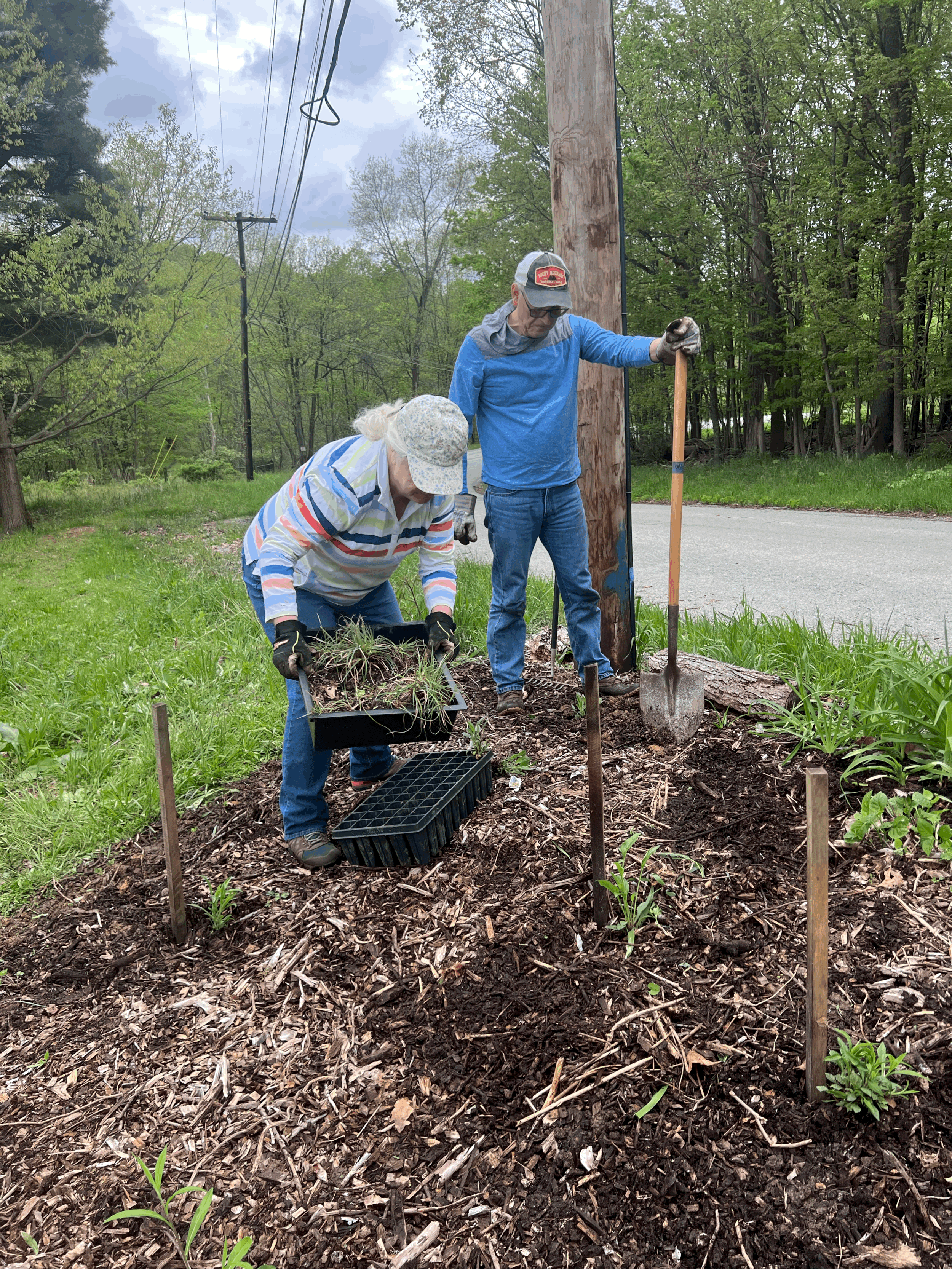 Volunteering at KF Farm