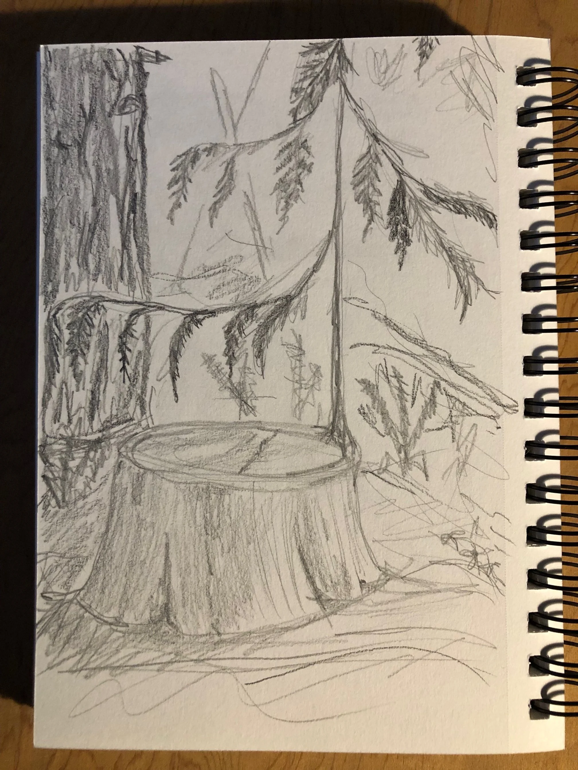 On the Incarnation:   Wild Indigo Guild #8 “Your Own Hands”