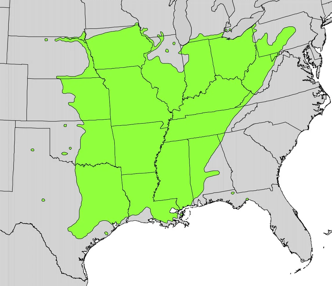 Gleditsia_triacanthos_range_map.jpg
