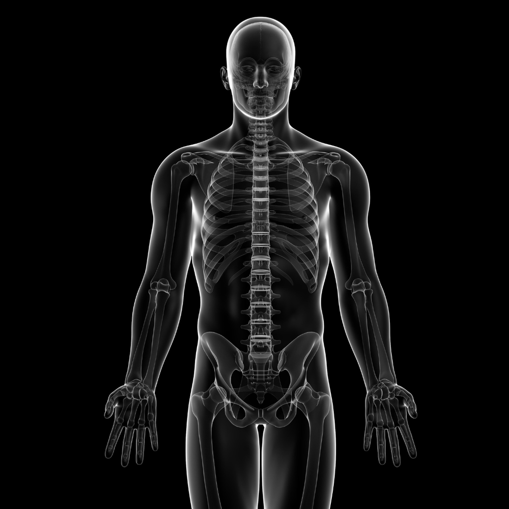 Deepening Anatomy | Elbows, Ankles & Knees