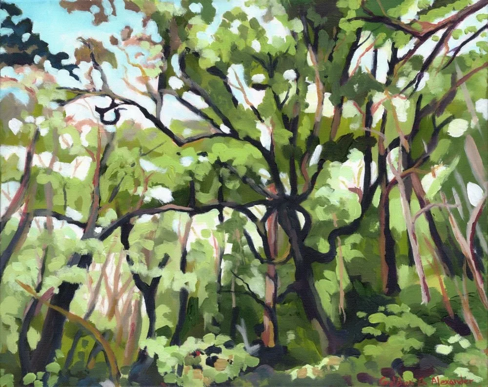 Bushwacking with the Ancients