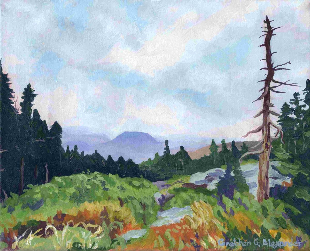 Butler Lodge View