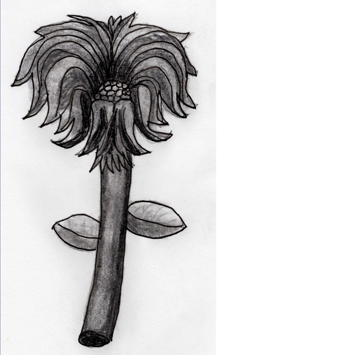 Graphite Flower - 5 X 7 Folded Card