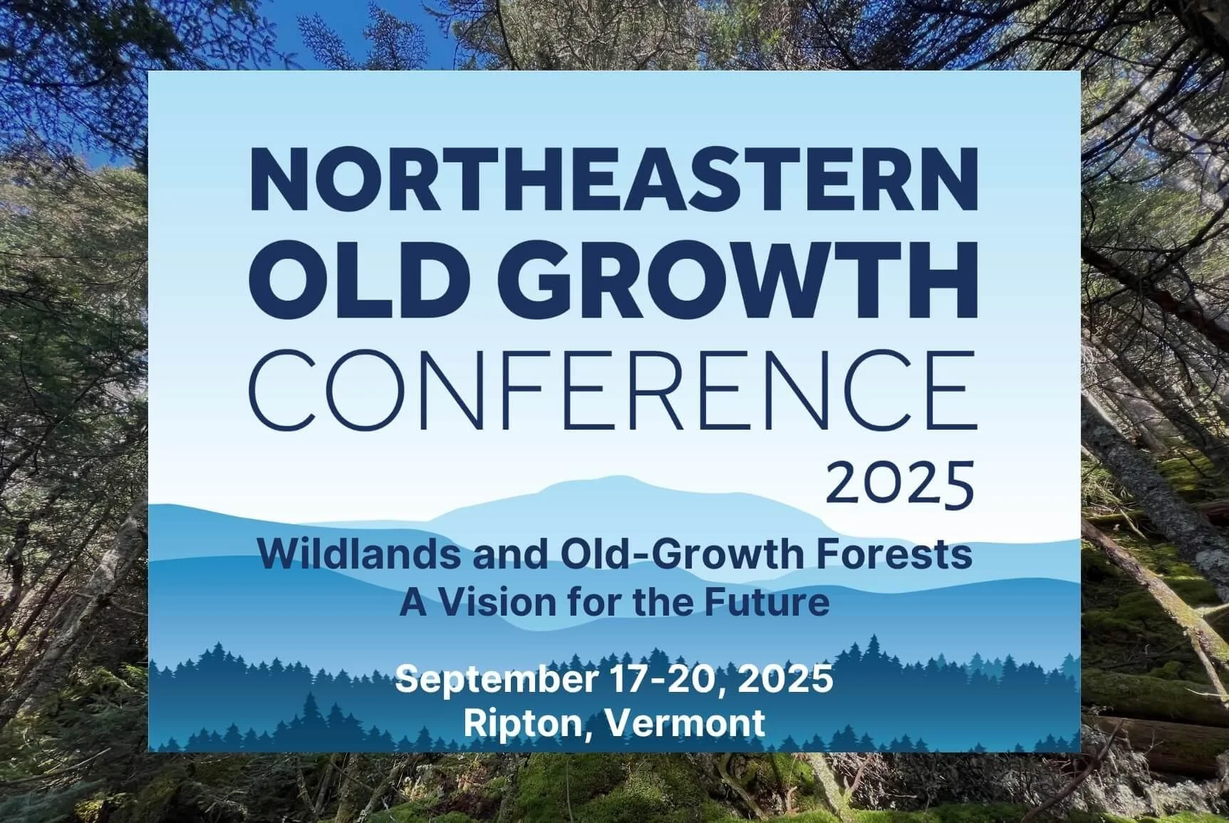 Northeastern Old Growth Conference