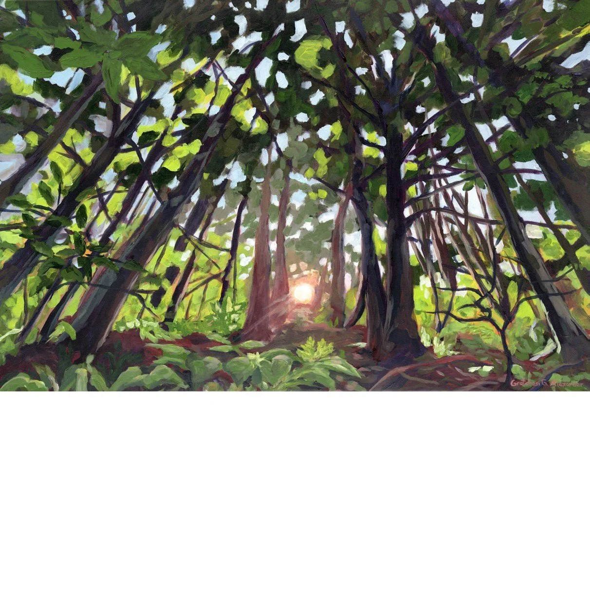 forest sundown square.jpg
