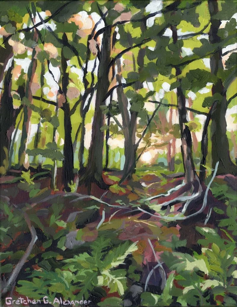 Summer Woods