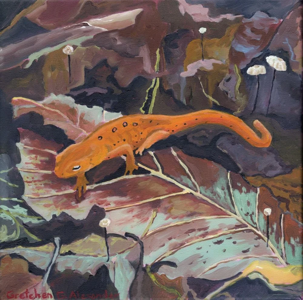 Gretchen Alexander