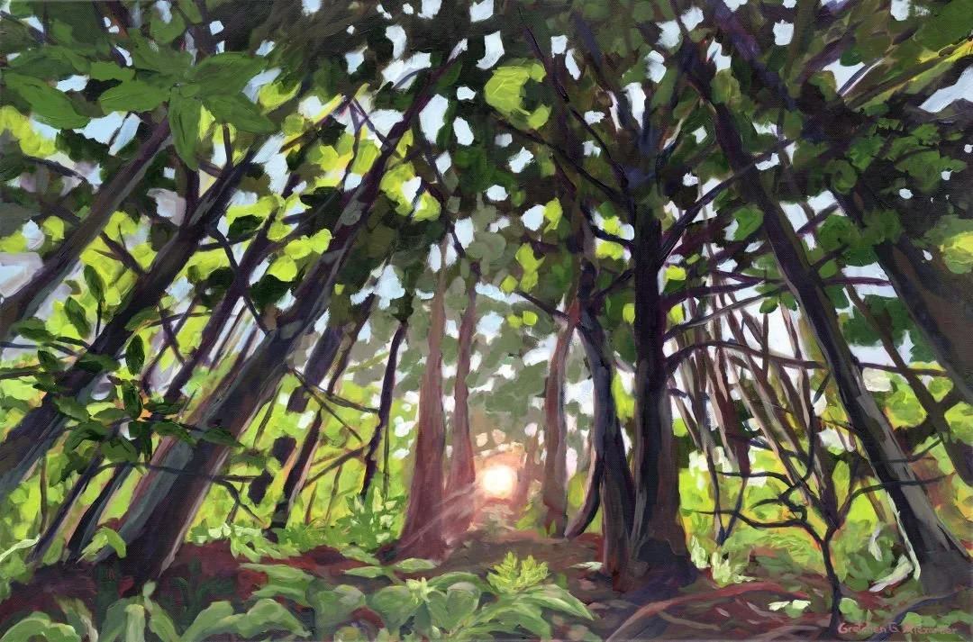 ForestSundownweb.jpg
