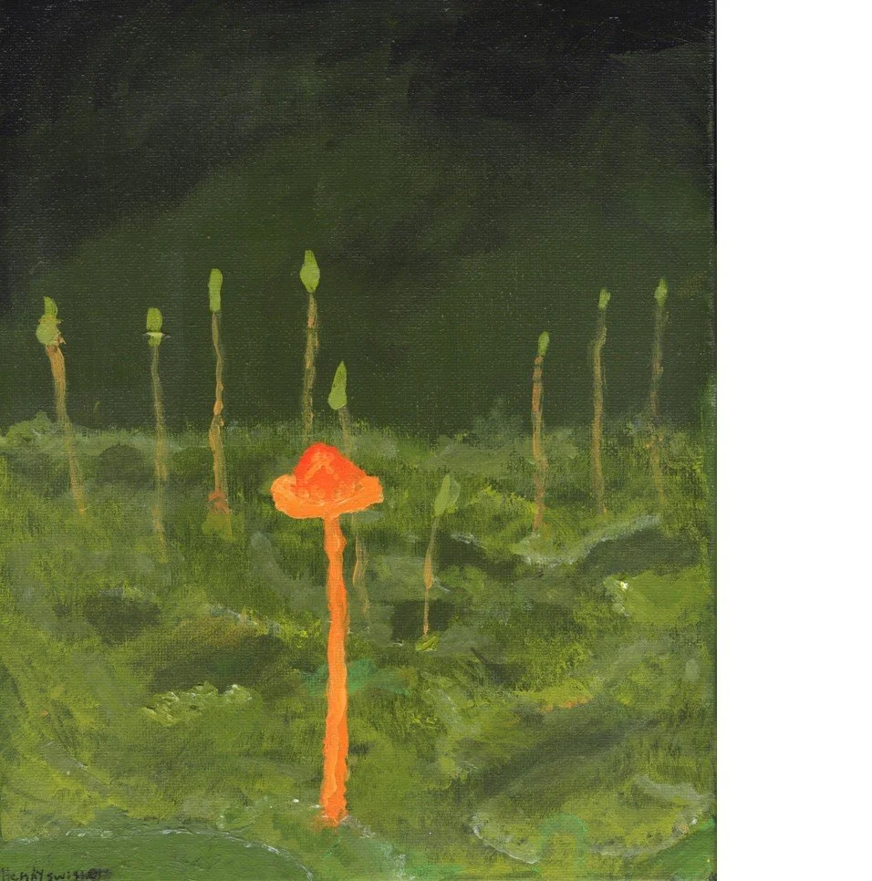 Hunter Cap - Square.jpg