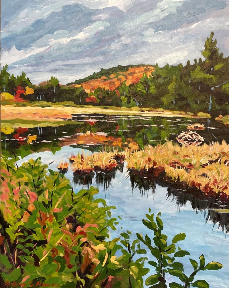 Beaver Pond on Leary