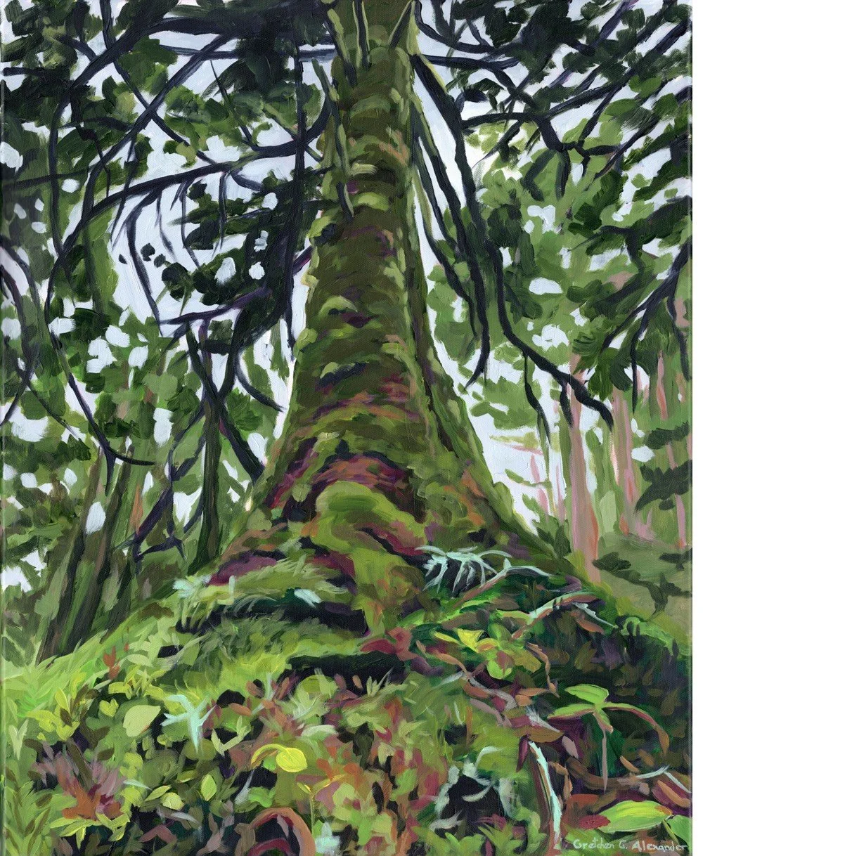 mossy trunk square.jpg