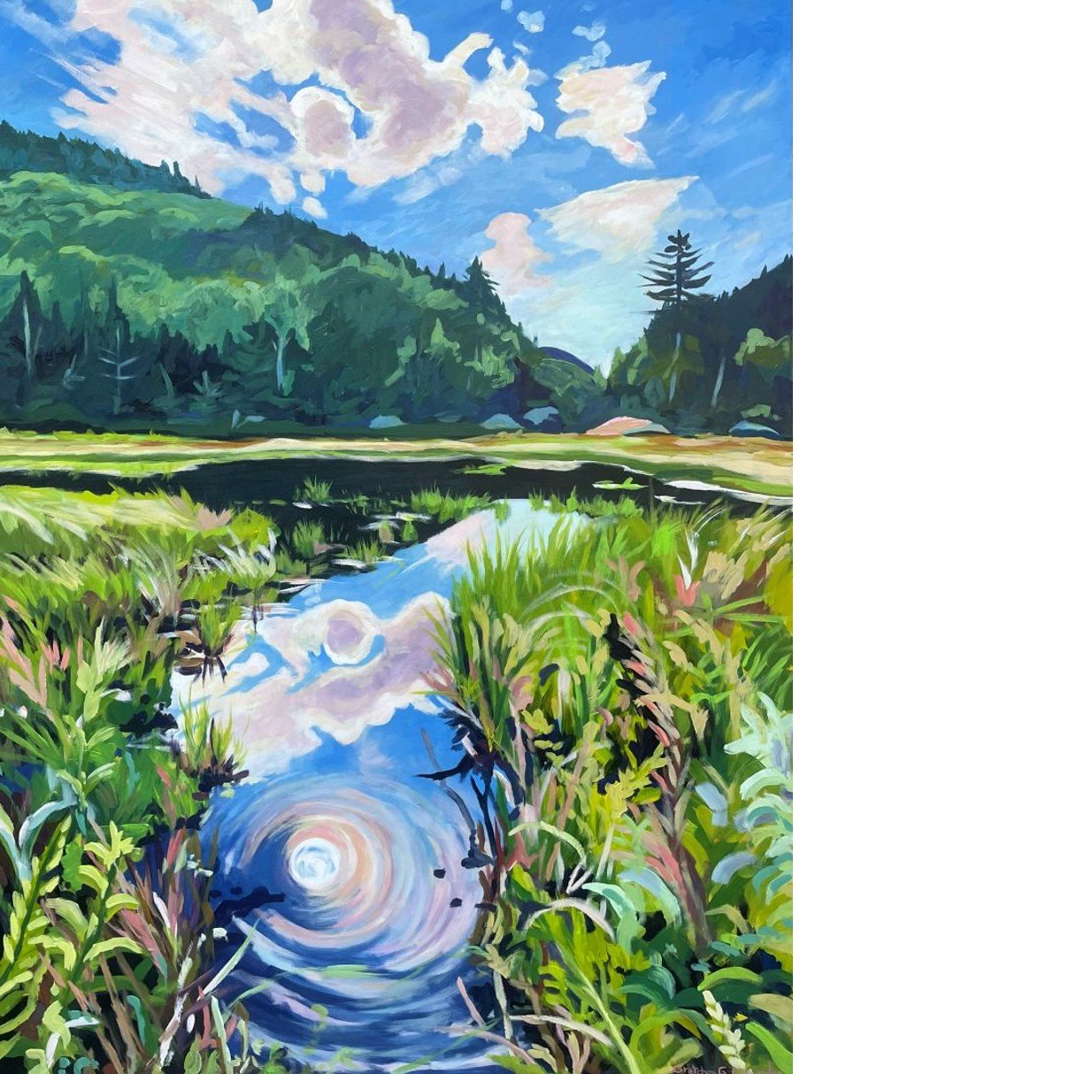 Nebraska Notch Beaver Meadow - square.jpg