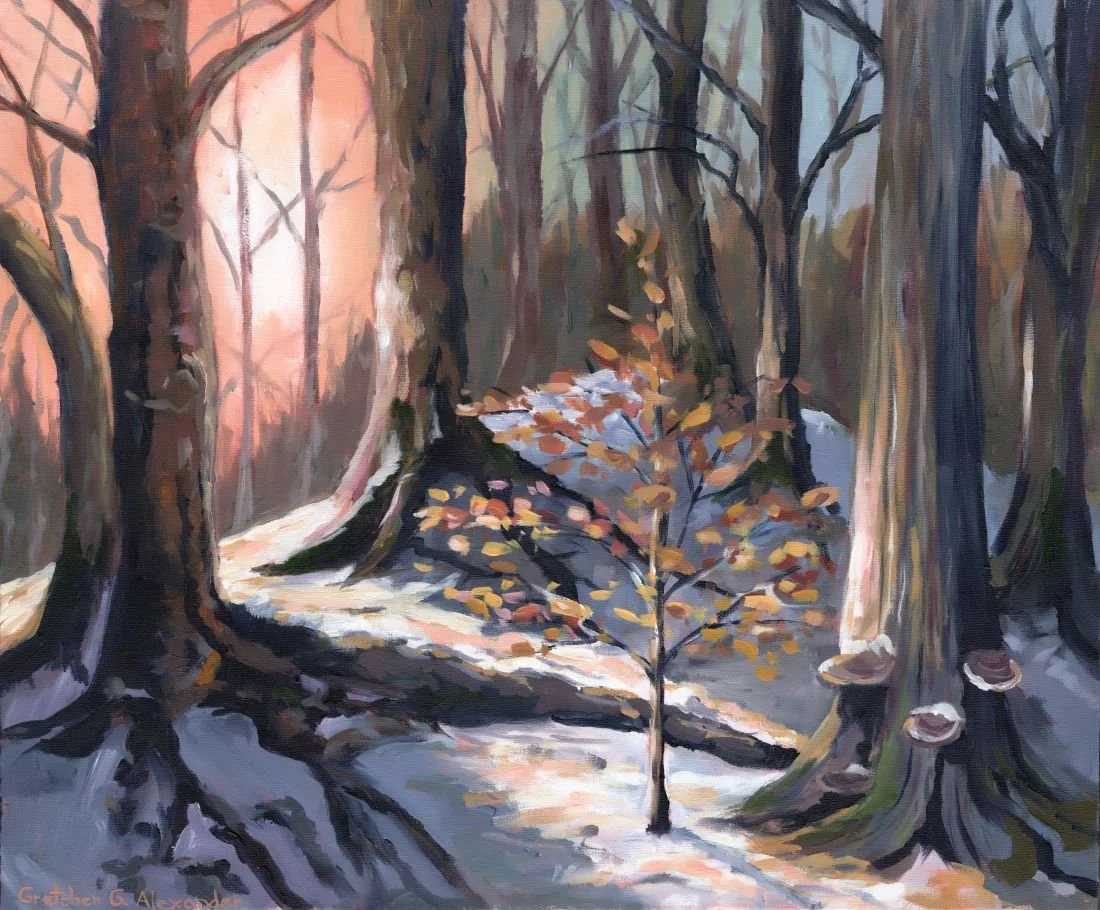 WinterBeech2_web.jpg