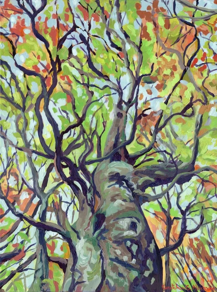 GnarlyBeech_web.jpg